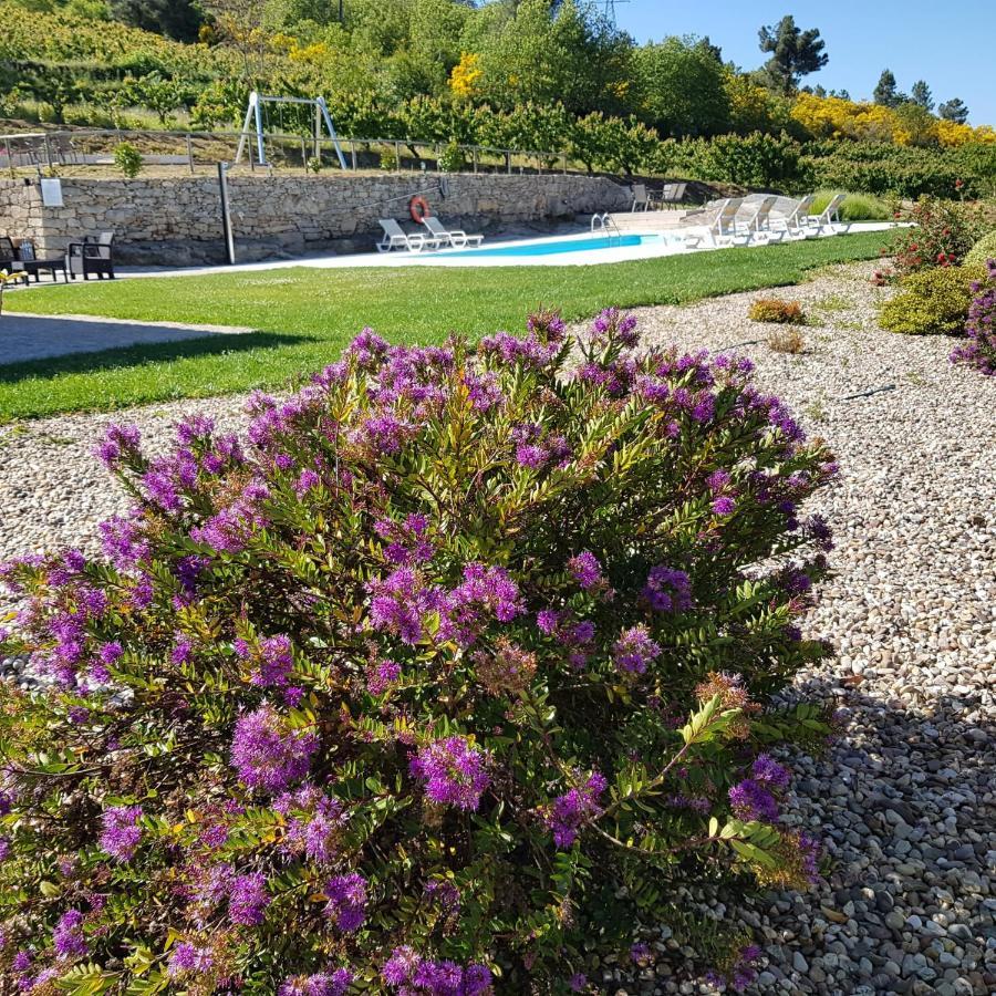 Quinta Bemboa Turismo Espaco Rural Aricera ภายนอก รูปภาพ