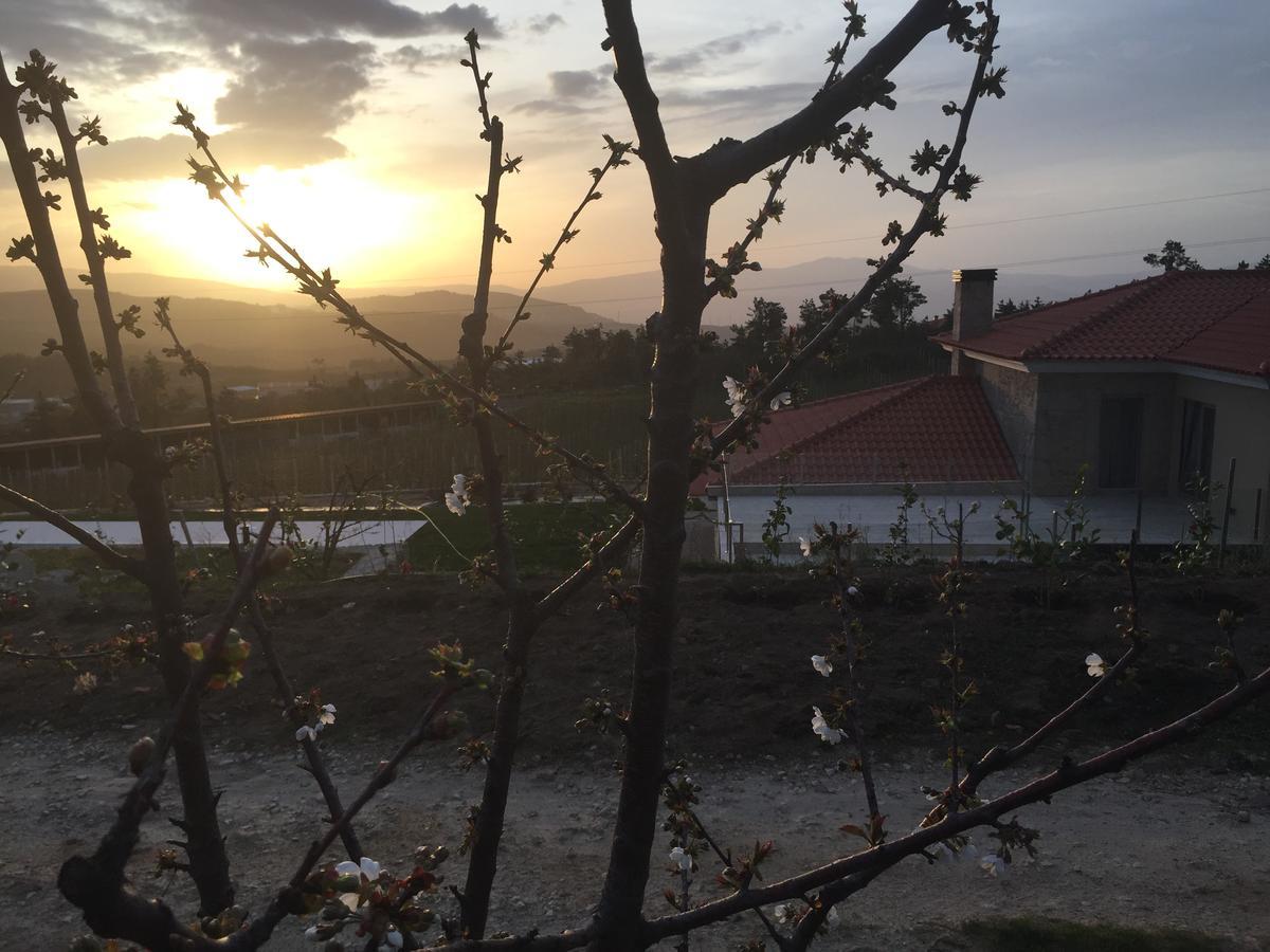 Quinta Bemboa Turismo Espaco Rural Aricera ภายนอก รูปภาพ