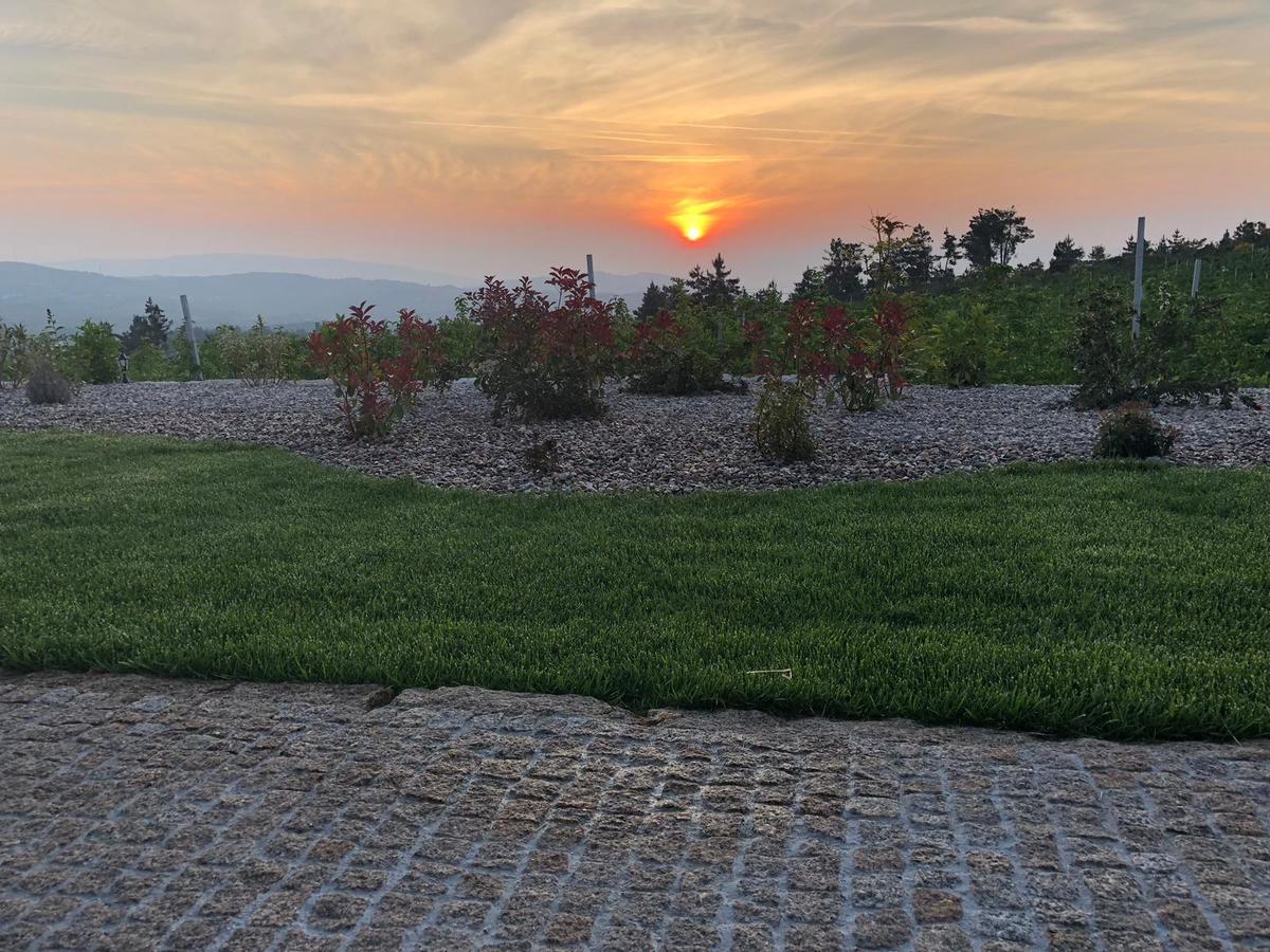 Quinta Bemboa Turismo Espaco Rural Aricera ภายนอก รูปภาพ
