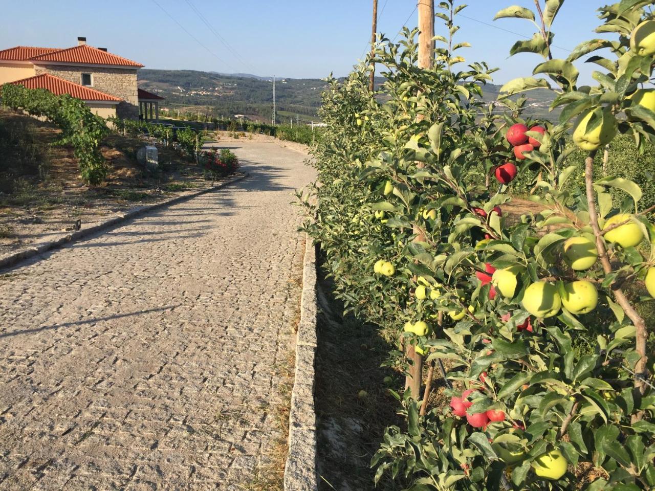 Quinta Bemboa Turismo Espaco Rural Aricera ภายนอก รูปภาพ