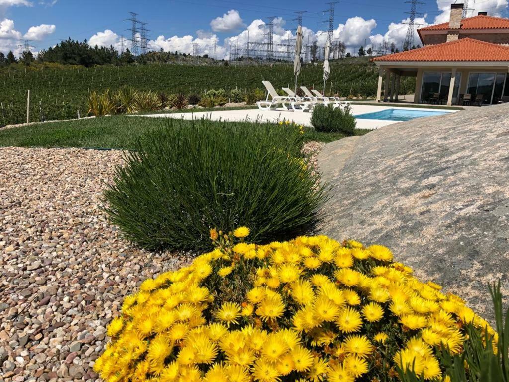 Quinta Bemboa Turismo Espaco Rural Aricera ภายนอก รูปภาพ